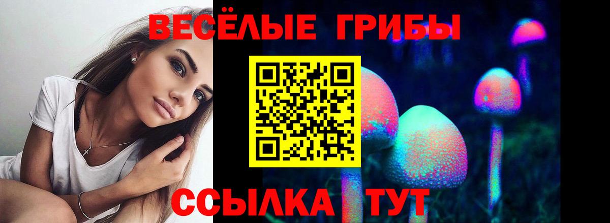 Псилоцибиновые грибы MAGIC MUSHROOMS  Галлюциногенные грибы мицелий  купить наркотики сайты  Вход с VPN  Кстово 